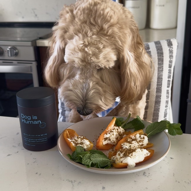 Image of 🥕Easter Pepper Treats