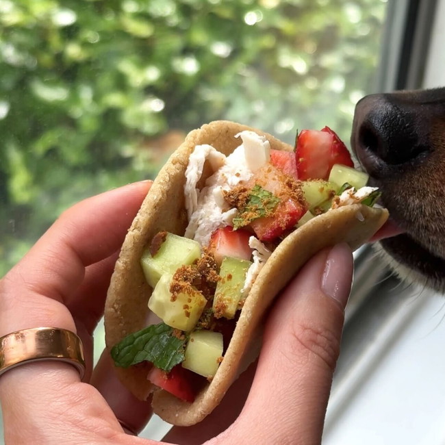 Image of 🌮Dog-Friendly Tacos