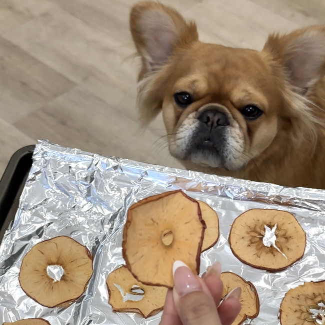 Image of 🍎Apple Chips