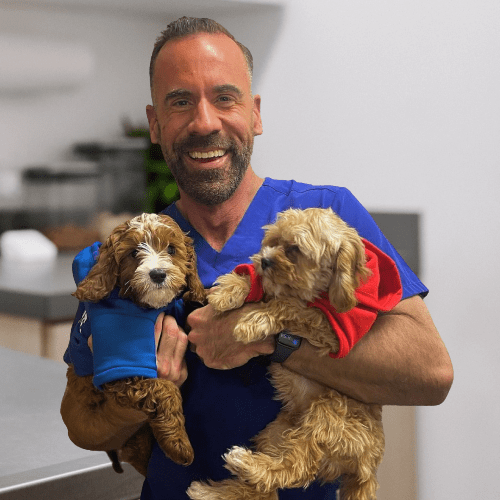 Dr. Adam Christman, DMV